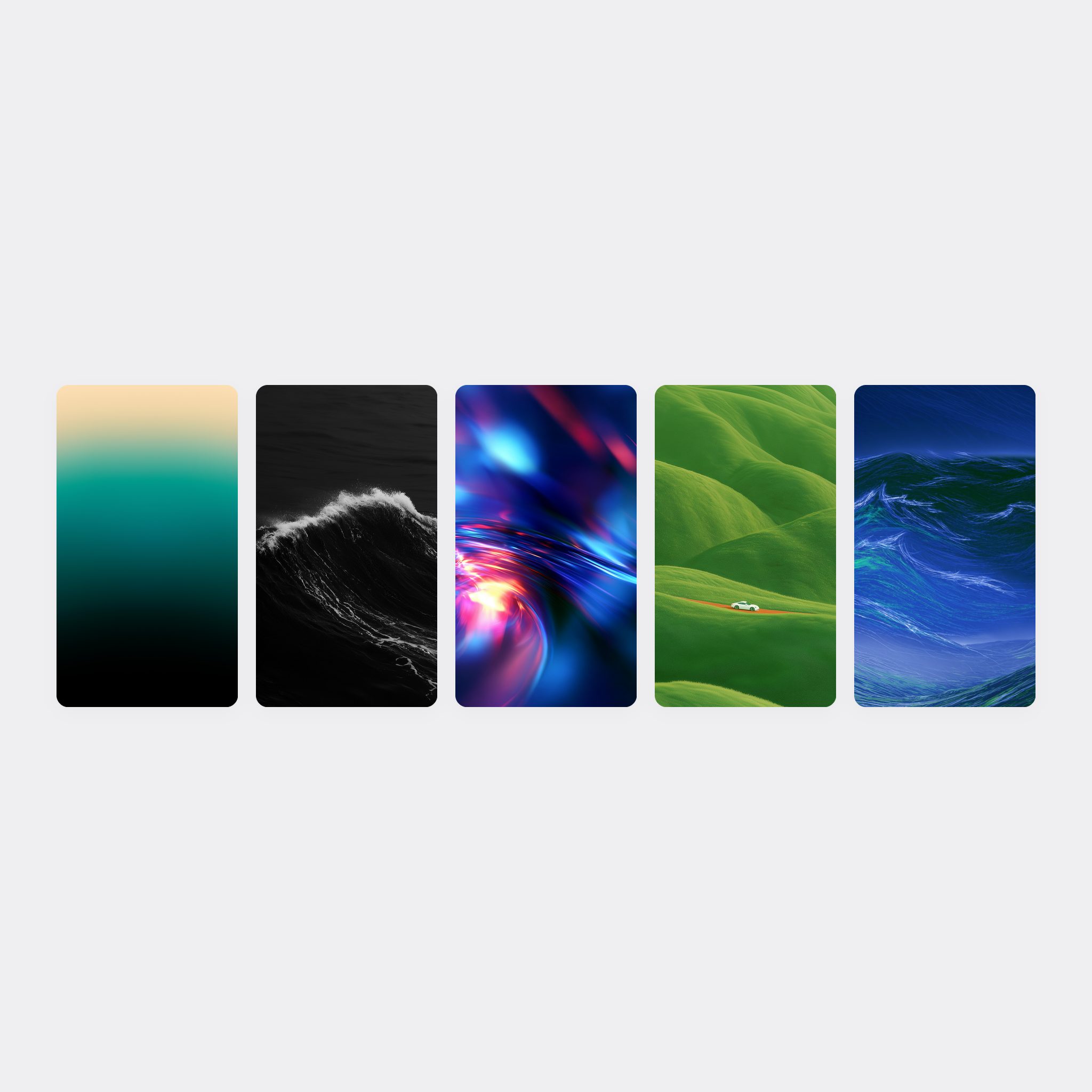All Packs Bundle